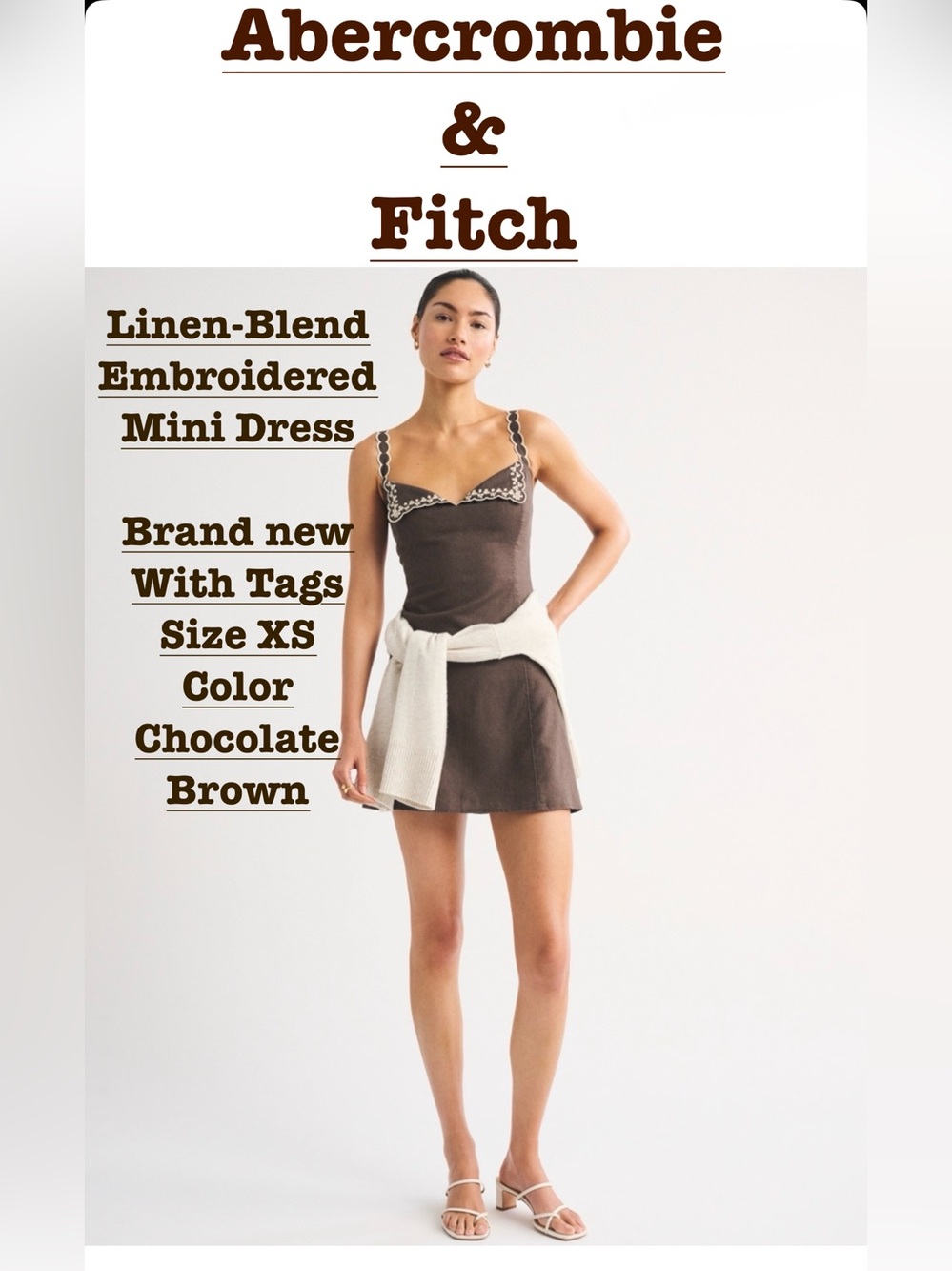 Abercrombie and Fitch Linen Blend Embroidered Mini Dress